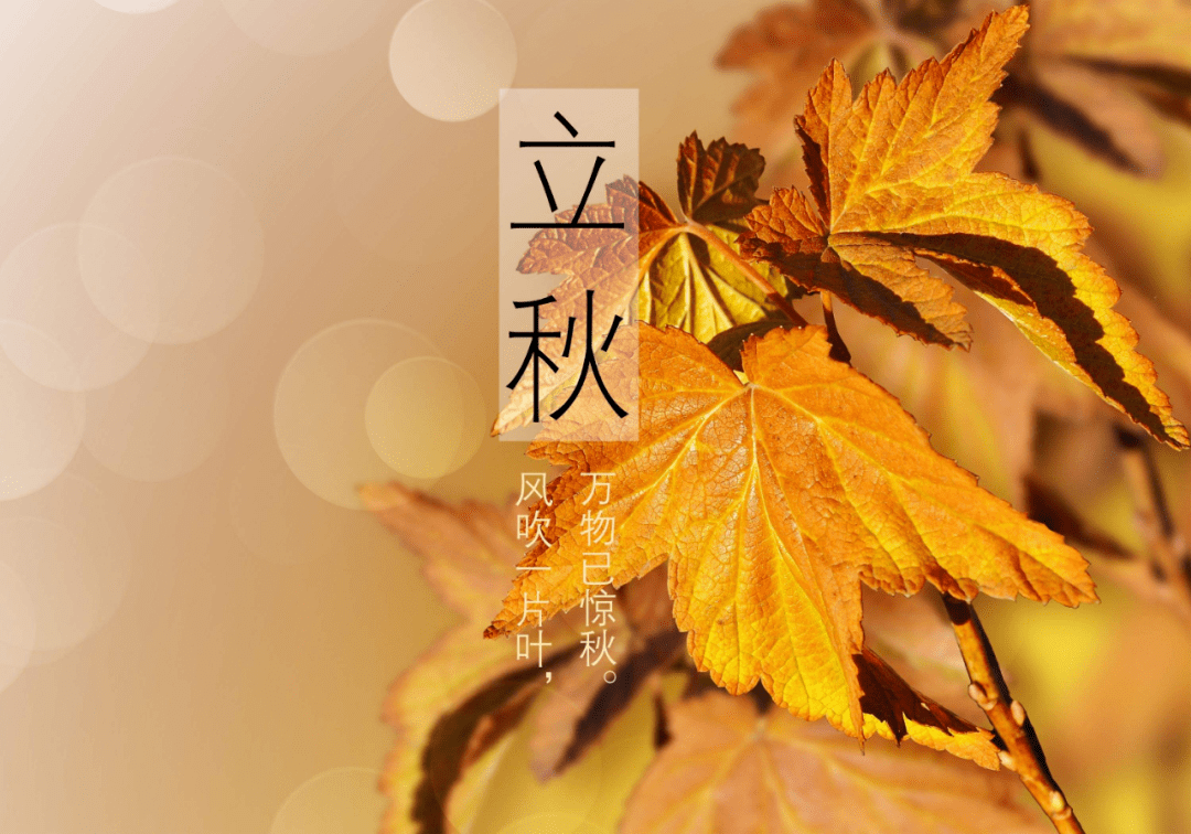 北方人立秋吃什么