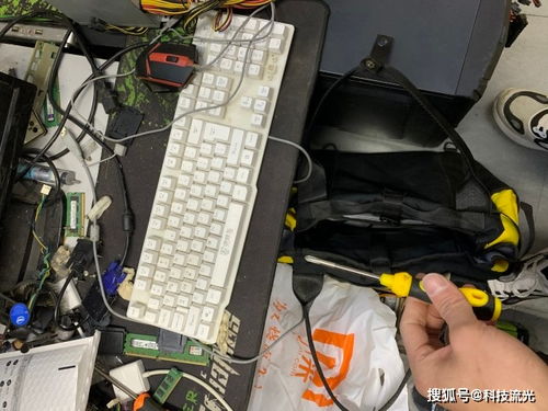 电脑单机枪战游戏排行榜前十名（单机枪战游戏排行榜前十名）