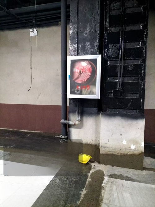 博世欧洲之星壁挂炉点不燃:原因与解决方法 博世欧洲之星壁挂炉点不燃:原因与解决方法