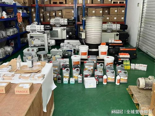 糖豆广场舞 电脑版（糖豆广场舞电脑版下载安装）