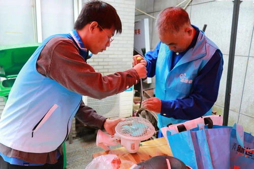 林内壁挂炉排气的正确方法(检查机器运行是否正常开启) 林内壁挂炉排气的正确方法(检查机器运行是否正常开启)