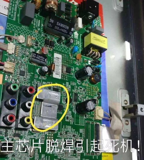 疯狂喷气机官网中文版最新版（疯狂喷气机哪里能下到电脑版本）