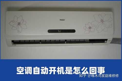 洛克王国疯狂辅助 V1.0 Win10免费版(洛克王国疯狂辅助 V1.0 Win10免费版功能简介) 洛克王国疯狂辅助 V1.0 Win10免费版(洛克王国疯狂辅助 V1.0 Win10免费版功能简介)