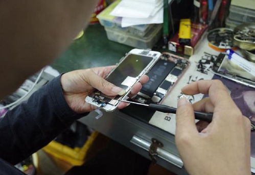 银河玖乐软件下载（银河玖乐电脑官方下载）