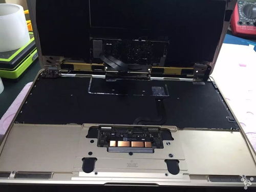 空调没洗吹了有什么危害