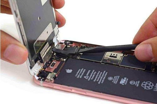 冰箱闲置半年后不制冷怎么办 冰箱闲置半年后不制冷怎么办