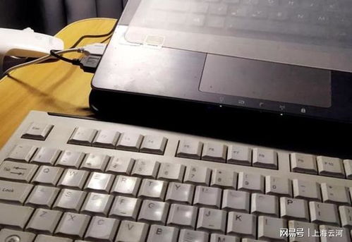 油烟机跳闸维修多少钱（油烟机跳闸怎么维修）