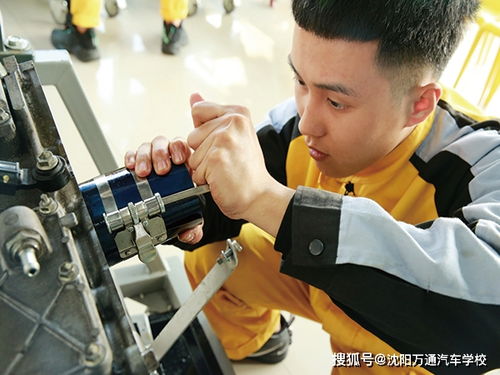 菲斯曼壁挂炉18kw图片 怎么修复与排查方法 菲斯曼壁挂炉18kw图片 怎么修复与排查方法