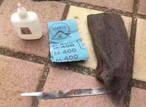 小油烟机清理方法