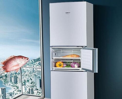 电脑长截屏怎么截（长截屏怎么截） 