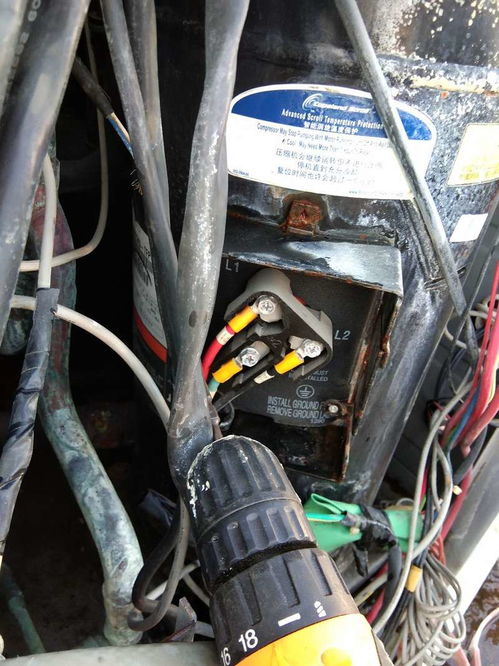 迷你世界万人号电脑版嘟嘟波波(迷你世界万人号电脑版) 迷你世界万人号电脑版嘟嘟波波(迷你世界万人号电脑版)