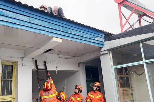 制冰机接水图（制冰机r22怎么接水管）