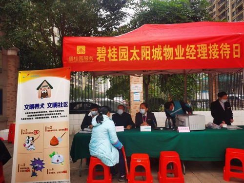 wingdings字体是什么（wingdings字体怎么打） 