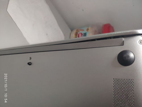 玩偶可以放洗衣机洗吗