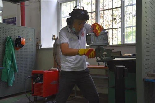 电脑播放器为什么没有声音(电脑播放器没有声音怎么办) 电脑播放器为什么没有声音(电脑播放器没有声音怎么办)