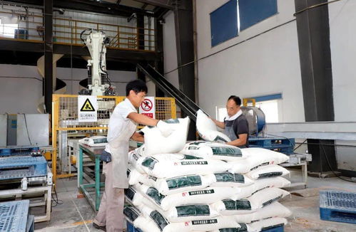 电脑洛克王国为什么进不去（洛克王国为什么进不去）