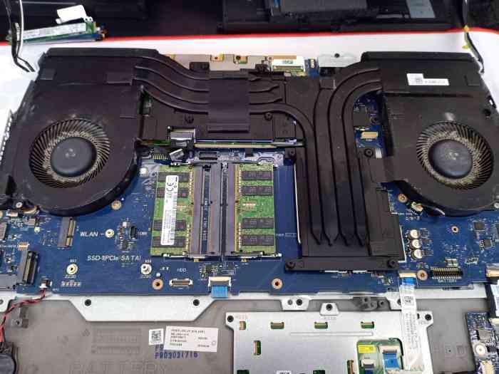 袁泉毕业院校 袁泉毕业照 袁泉毕业院校 袁泉毕业照