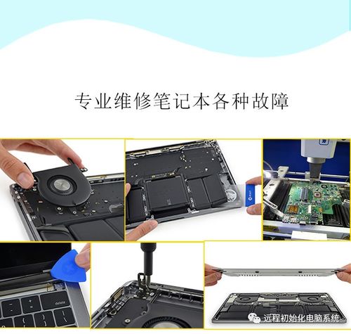 电脑中如何在图片上加字(电脑怎么在图片上加字) 电脑中如何在图片上加字(电脑怎么在图片上加字)