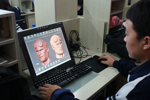 德国菲斯曼壁挂炉产地 怎么修复与排查方法