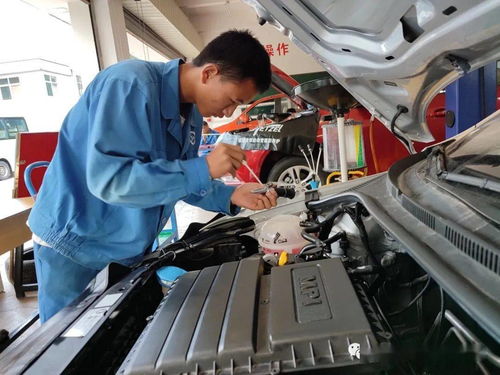 电脑公司xp2015(电脑公司xp) 电脑公司xp2015(电脑公司xp)