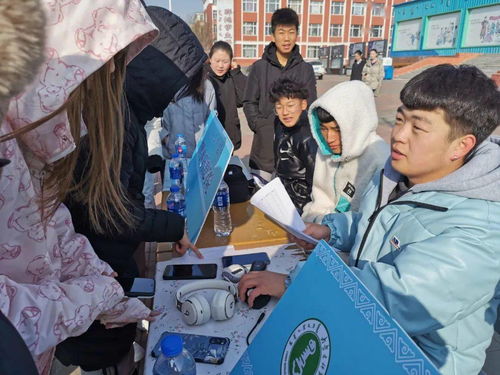 探索家用电脑品牌，性能、价格与用户体验的完美平衡