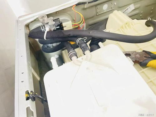 幽游白书游戏下载安卓版免费（幽游白书游戏电脑版）