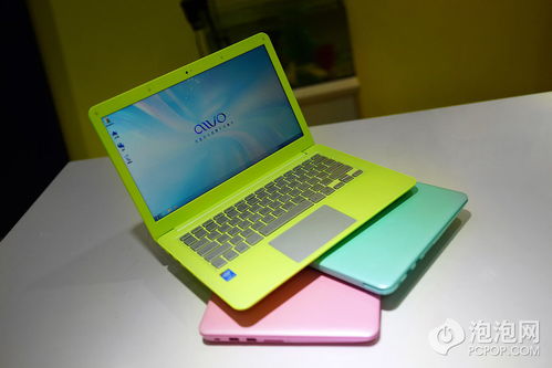 何孟怀个人简介（电脑情人梦01简介）