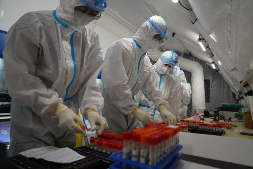 怎么把微信表情包导出（微信表情包怎么导出到电脑）