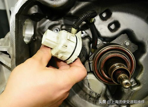 班班通平板电脑下载教程（班班通平台登录）