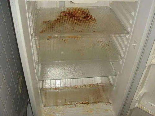 物理地址怎么查(如何查电脑的物理地址)