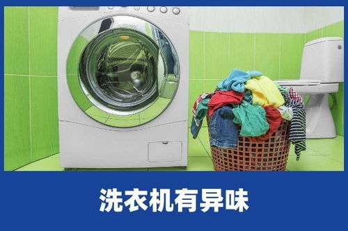 借款单如何填写到电脑中（借款单如何填写）