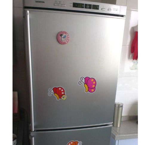 用电脑免费录制视频（用电脑免费打电话） 