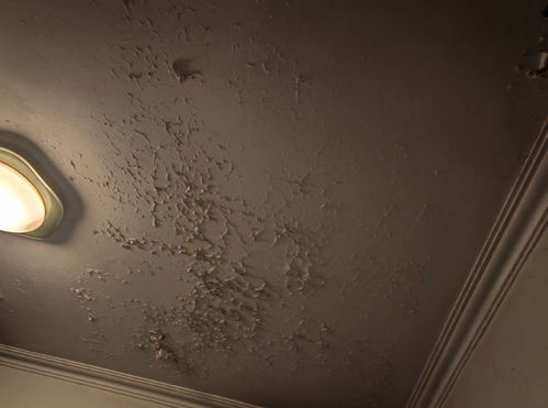 世界征服者2电脑版(世界征服者2怎么获胜) 世界征服者2电脑版(世界征服者2怎么获胜)