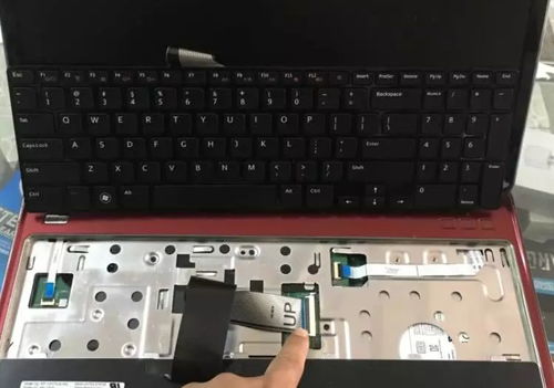 茄子快传怎么样能下载（茄子快传电脑版）