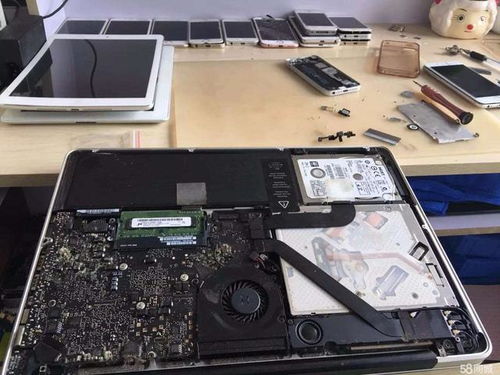 彩宝网官网电脑版（彩宝网官网）