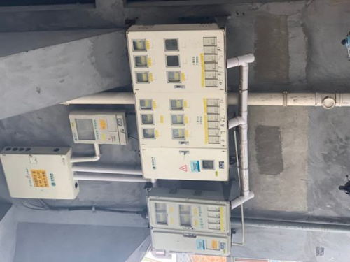 保卫萝卜电脑单机版下载（保卫萝卜电脑单机版）