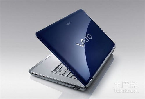 墨墨背单词电脑版下载官方（墨墨背单词电脑版）