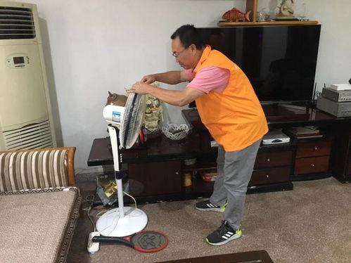 教您解决威能锅炉工程代码原因及解决办法