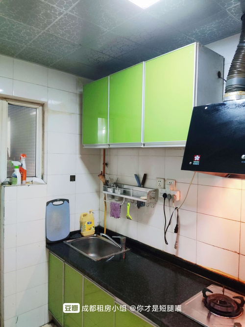 苹果高管：iPhone XR是公司最畅销的机型