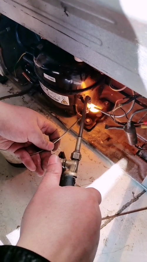 音频裁剪大师电脑版 V21.8.15 官方版（音频裁剪大师电脑版 V21.8.15 官方版功能简介） 