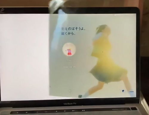 win7系统壁纸消失桌面变成黑色怎么办？win7壁纸消