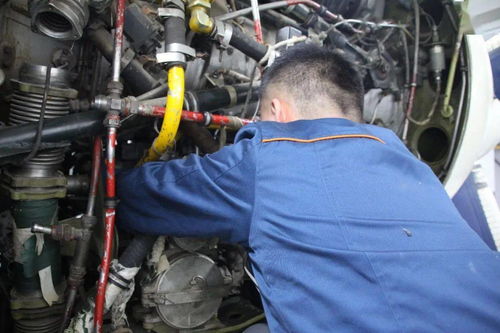 复印机卡纸后取出来仍无法打印（复印机卡纸）