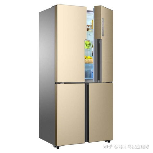 我电脑上所有安装程序都打不开怎么回事呀（我电脑上所有安装程序都打不开怎么回事）