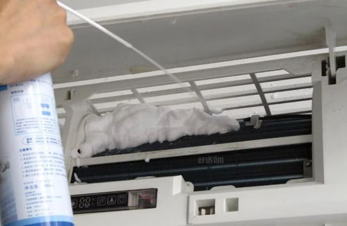 如何打开iPhone上的圆点