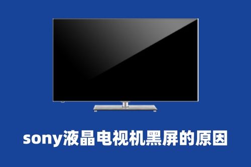 直播笑声软件电脑版怎么下载（直播笑声软件电脑版）